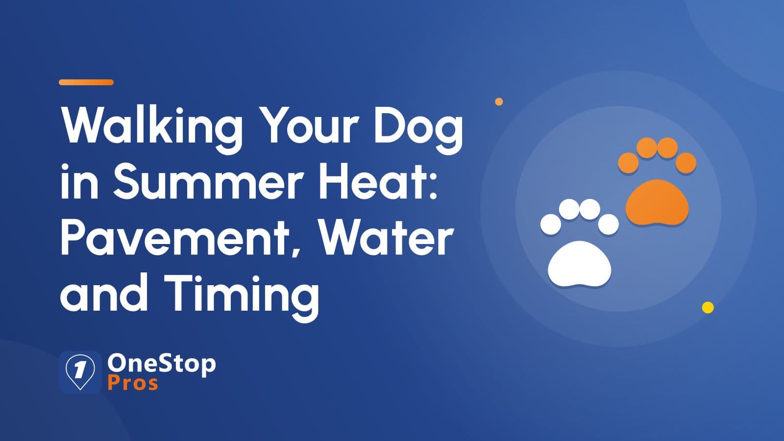 Walking Your Dog in Summer Heat: Pavement, Water and Timing