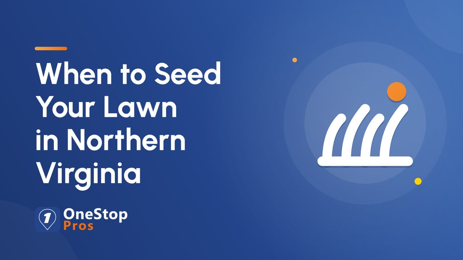 When to Seed Your Lawn in Northern Virginia