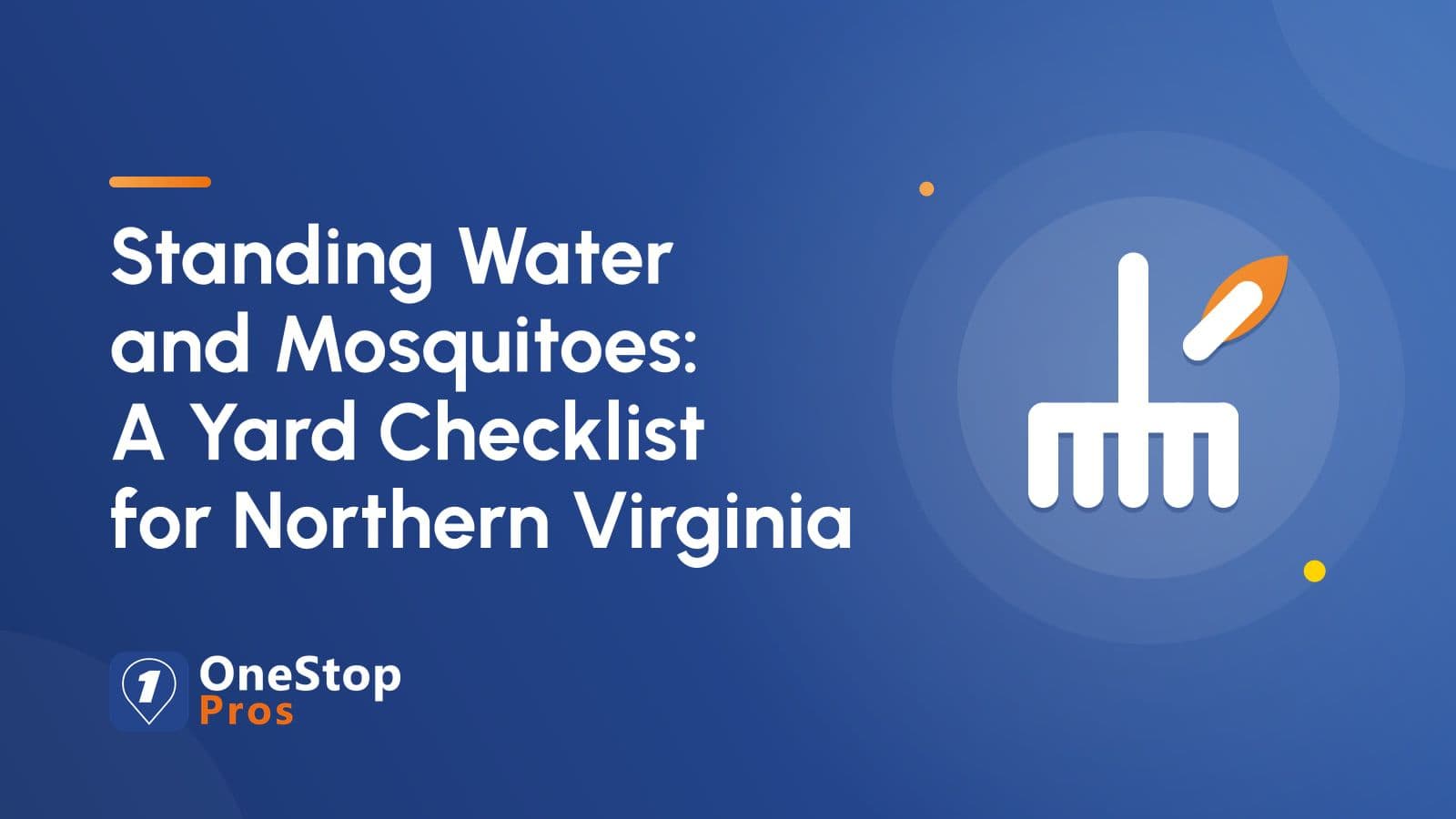 Standing Water and Mosquitoes: A Yard Checklist for Northern Virginia